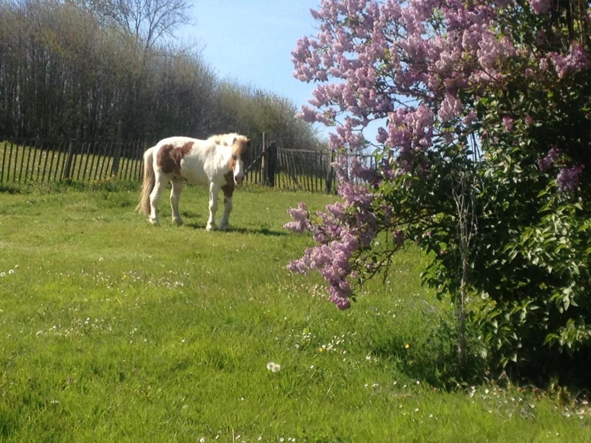 My Little Sweet Home Colombe  Esterno foto